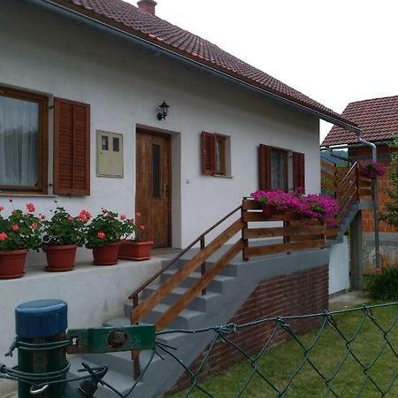 Apartman Nina Licko Petrovo Selo Esterno foto
