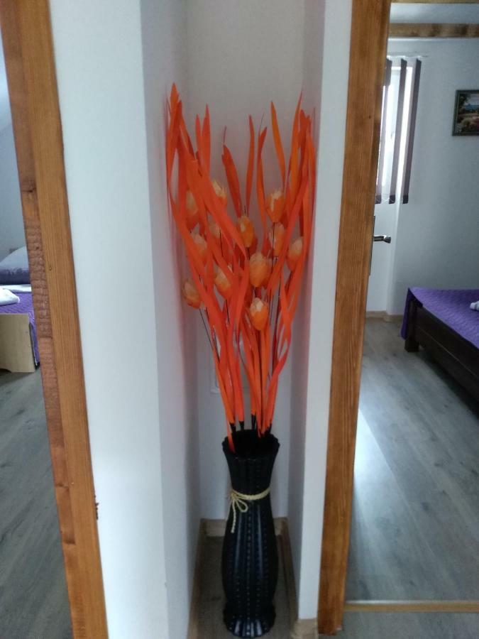 Apartman Nina Licko Petrovo Selo Esterno foto